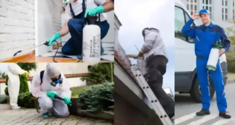 Schädlingsbekämpfung in Heusenstamm