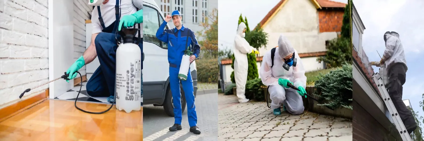 Um Schädlinge loszuwerden, stehen Ihnen unsere Experten zur Verfügung !